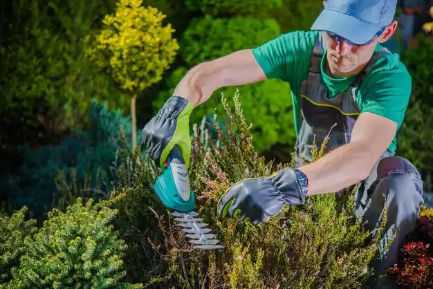 landscaping services Canaseraga